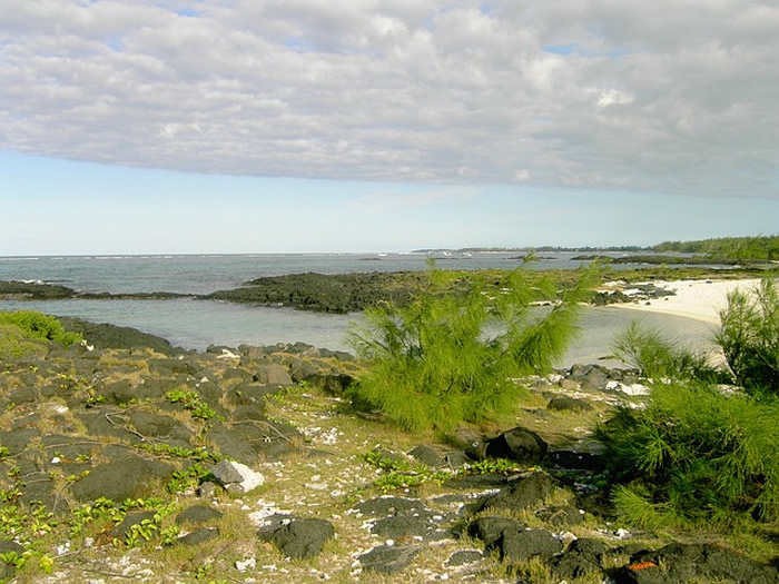 Zoom sur l'ile Maurice, destination phare pour la fin d'année