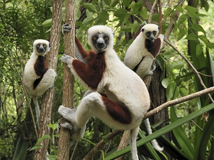 Un voyage à Madagascar sans stress et des moments de détente.