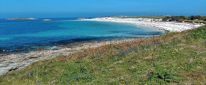 Îles des Glénan : voyage découverte en Bretagne