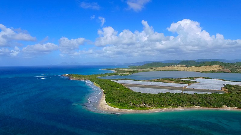 Visiter la Martinique : les meilleures activités à faire !