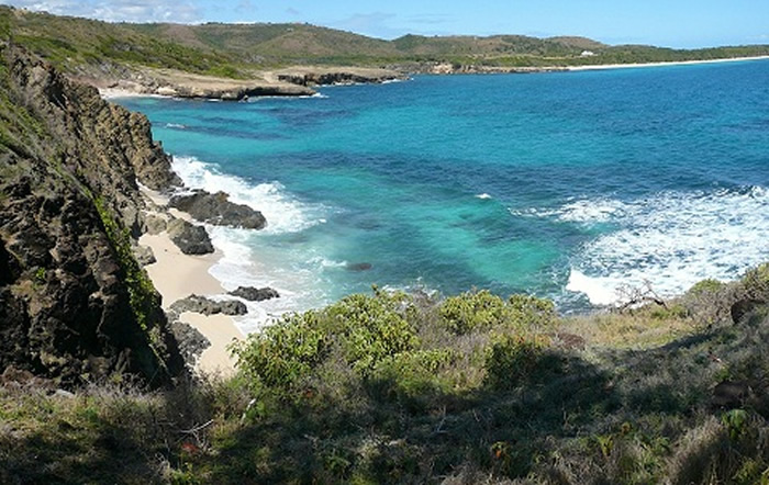 Découvrir la Martinique à travers les randonnées