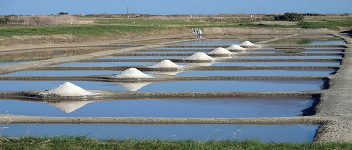 Profiter de l'île de Noirmoutier lors d'un séjour en Vendée